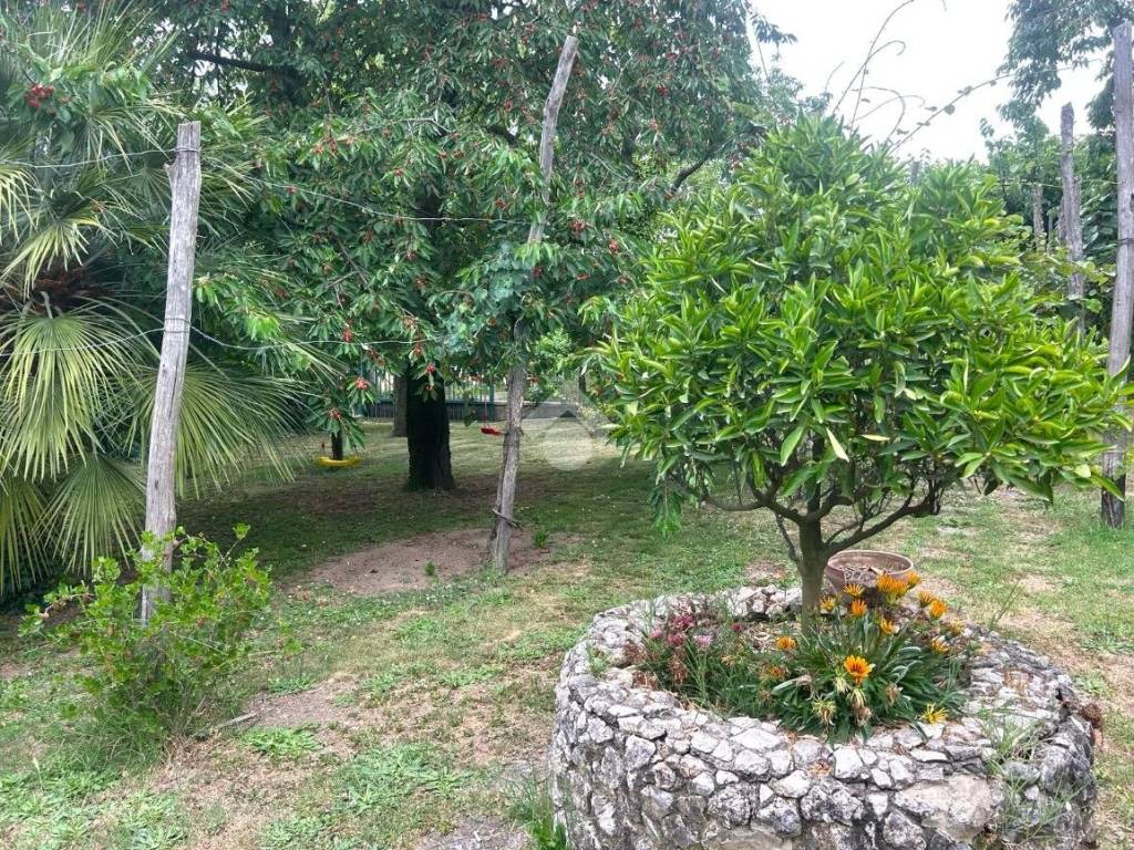 Giardino