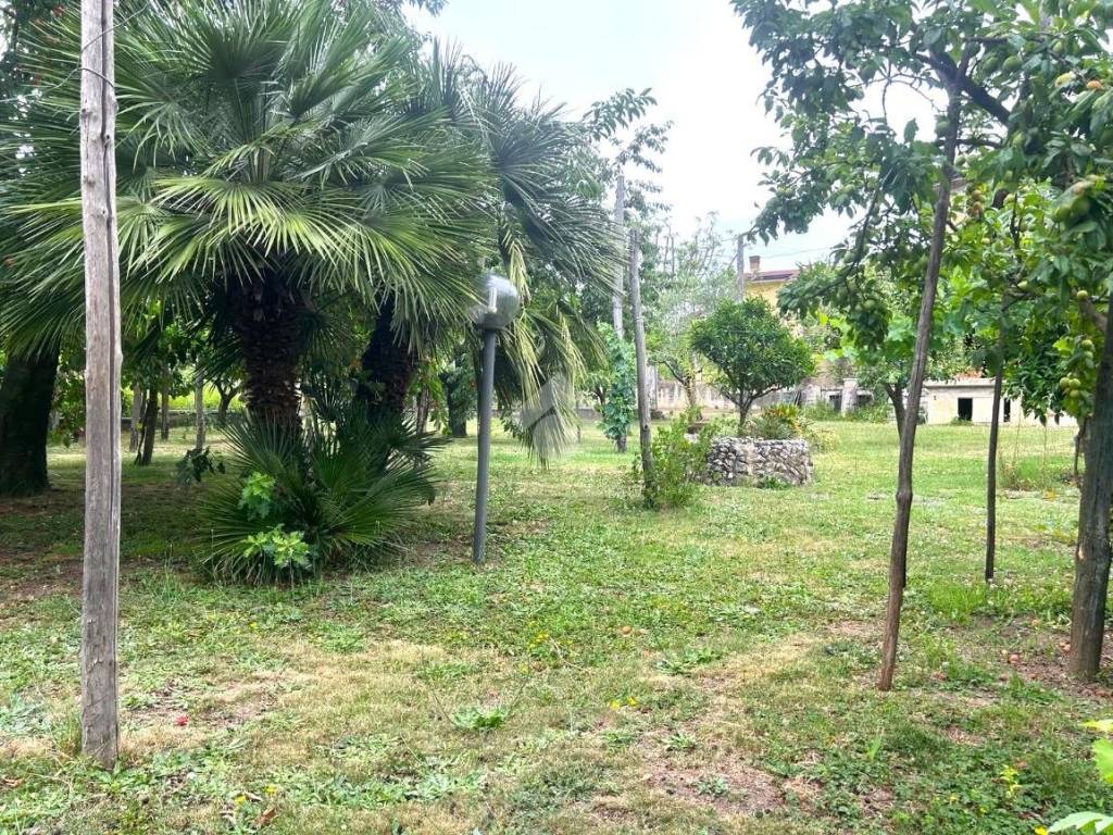 Giardino