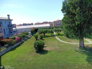 Zona