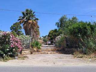 Zona