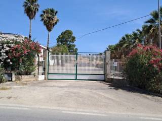 Zona