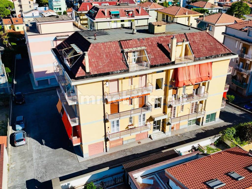 Vista