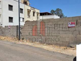 Zona