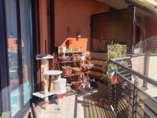 Terrazzo