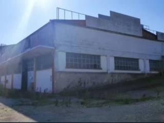 Zona