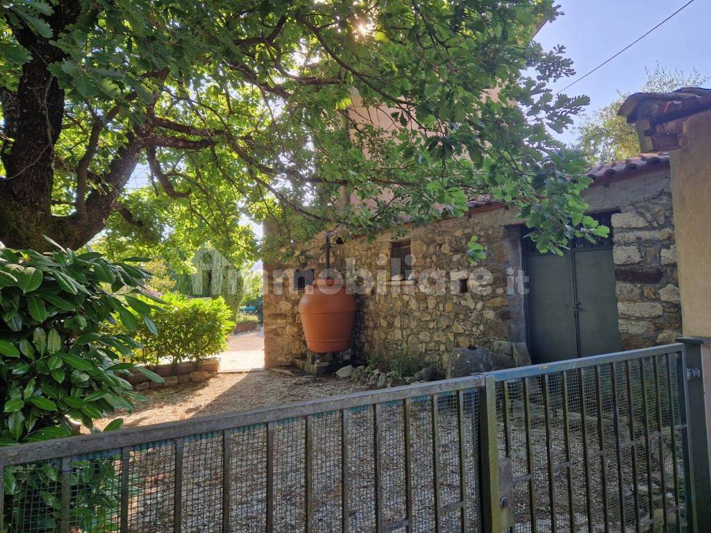 Giardino