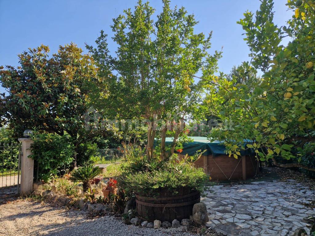 Giardino