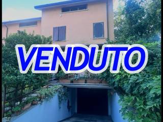 Zona
