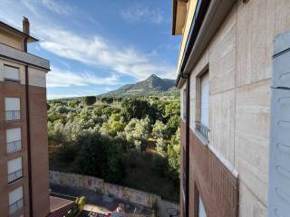 Vista