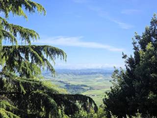 Vista