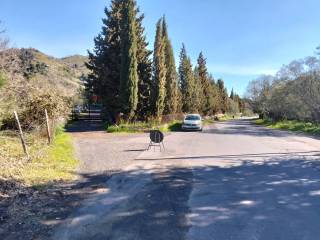 Zona