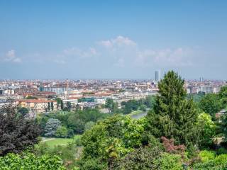 Vista