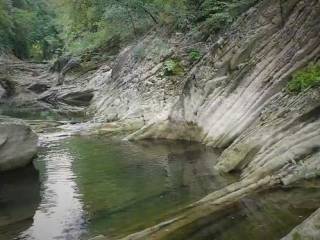 Zona