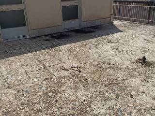 Terrazzo