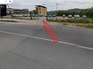 Zona