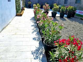Cortile interno