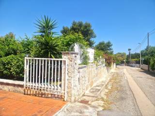 Zona