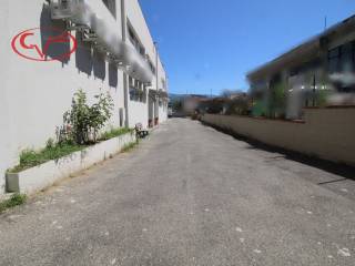 Zona