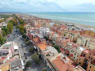 Zona