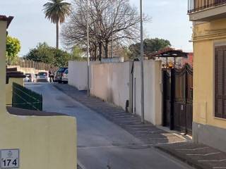 Zona