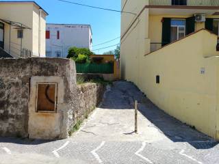 Zona