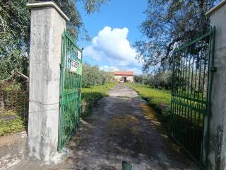 Terreno