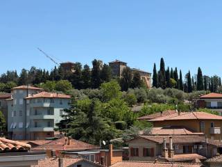 Vista