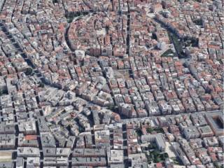 Zona
