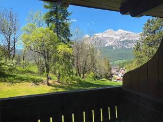 Vista
