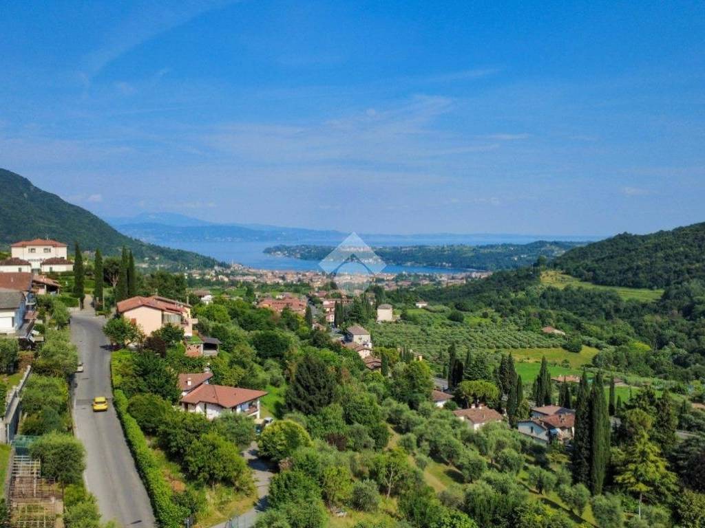 Vista