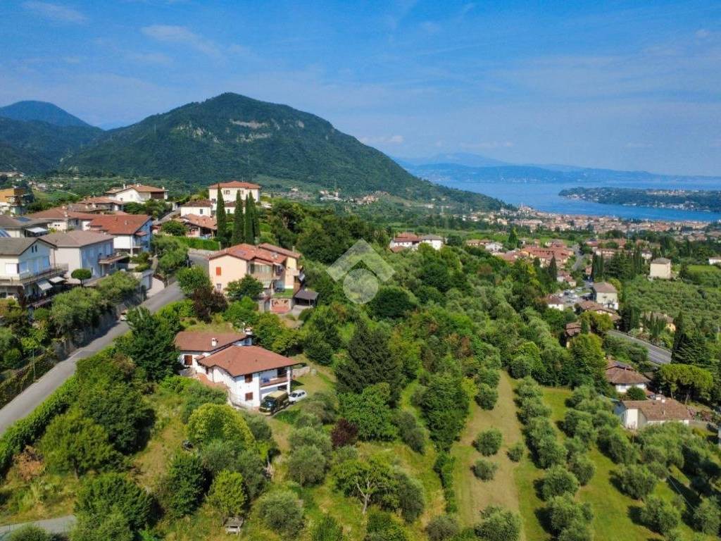 Vista