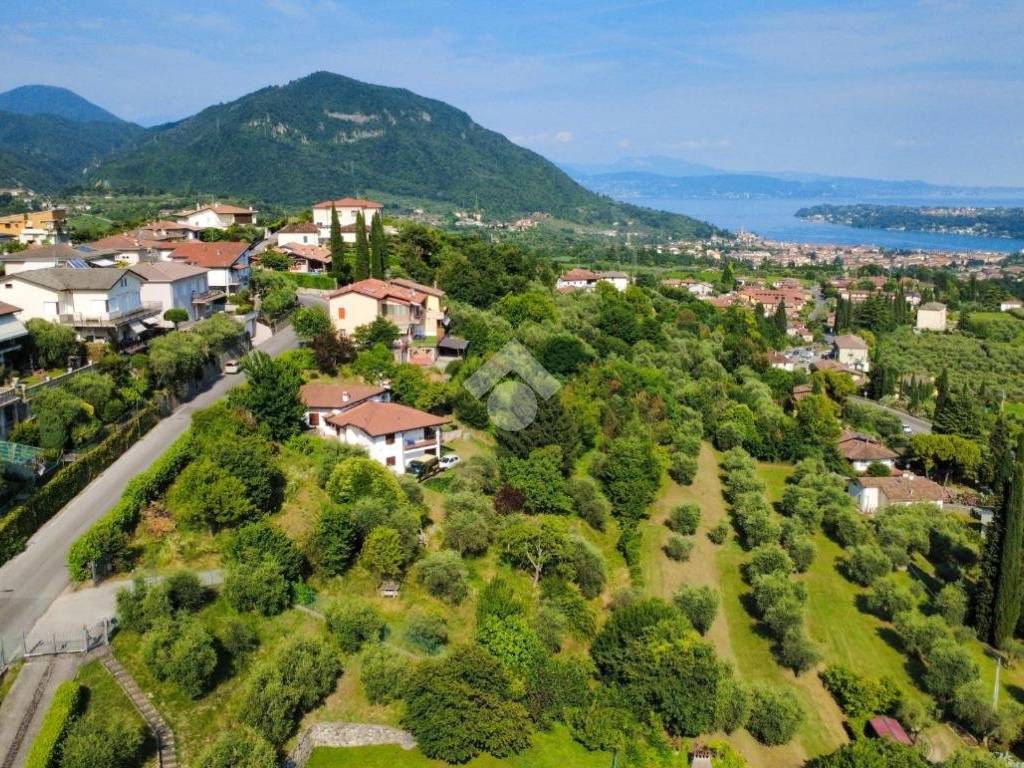 Vista