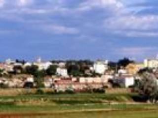 Zona