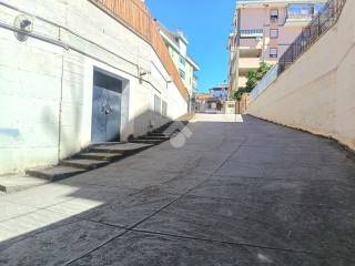 Zona