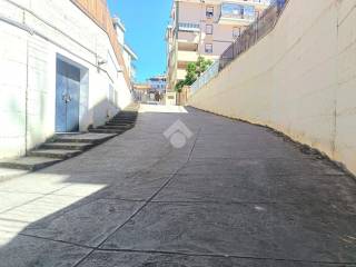 Zona