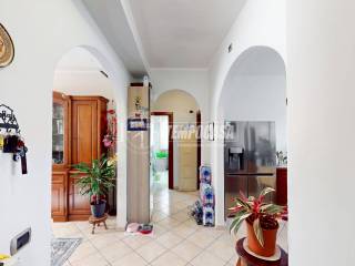 Salone