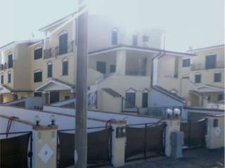 Zona