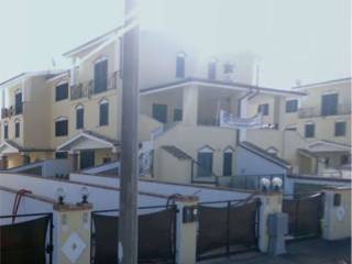 Zona