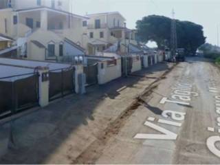 Zona