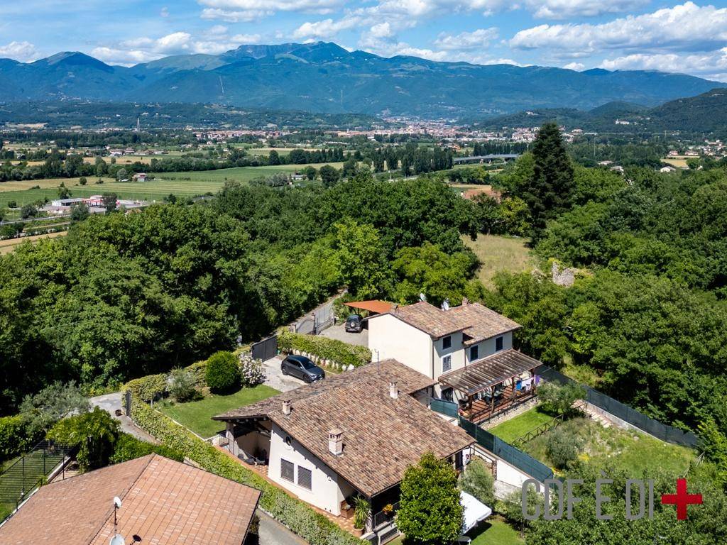 Vista