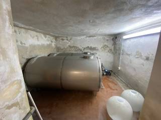 Cantina