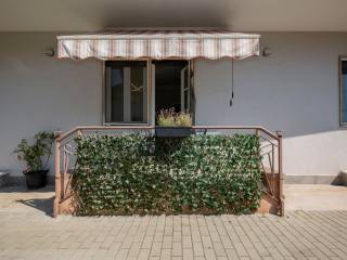 Terrazzo