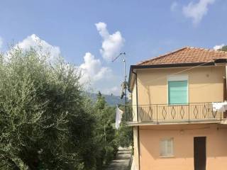 Vista