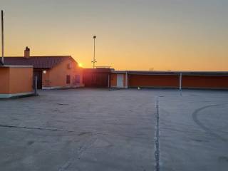 Zona