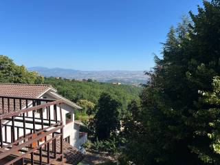 Vista