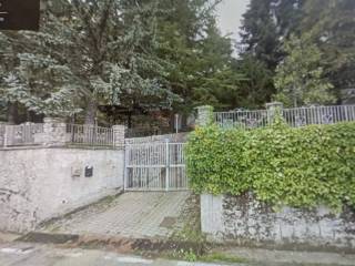 Zona