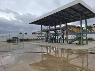 Zona
