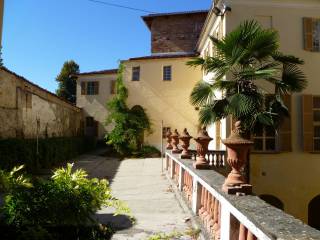 Zona