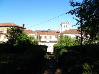 Vista