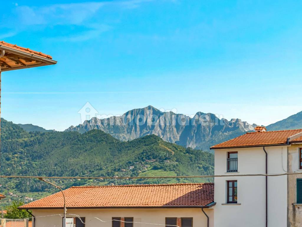 Vista
